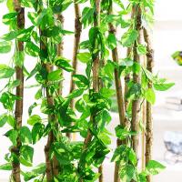 uploads/erp/collection/images/Home Garden/CongDing/XU0611666/img_b/XU0611666_img_b_1